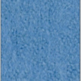 Focus_col_66022.jpg